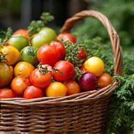 Fresh fruit and vegetables in a market basket